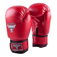 Боксерские перчатки RBG-102 Dyex 6 унций Красные