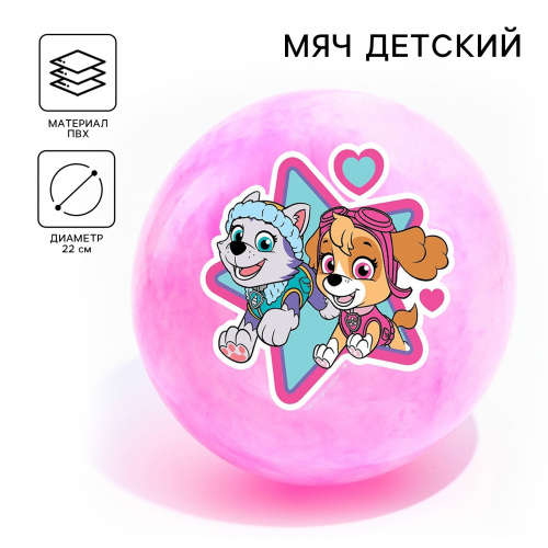 Мяч детский Paw Patrol «Скай и Эверест», 22 см, 60 г, мрамор, МИКС	5083426