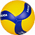 Мяч в/б Mikasa V300W FIVB